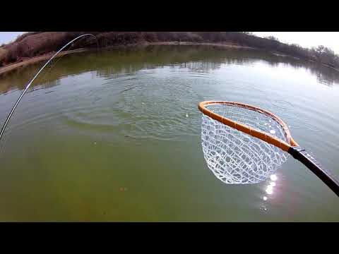 მეორე გასვლა მარაბდაზე. . Trout fishing in Georgia, Maraba Lake